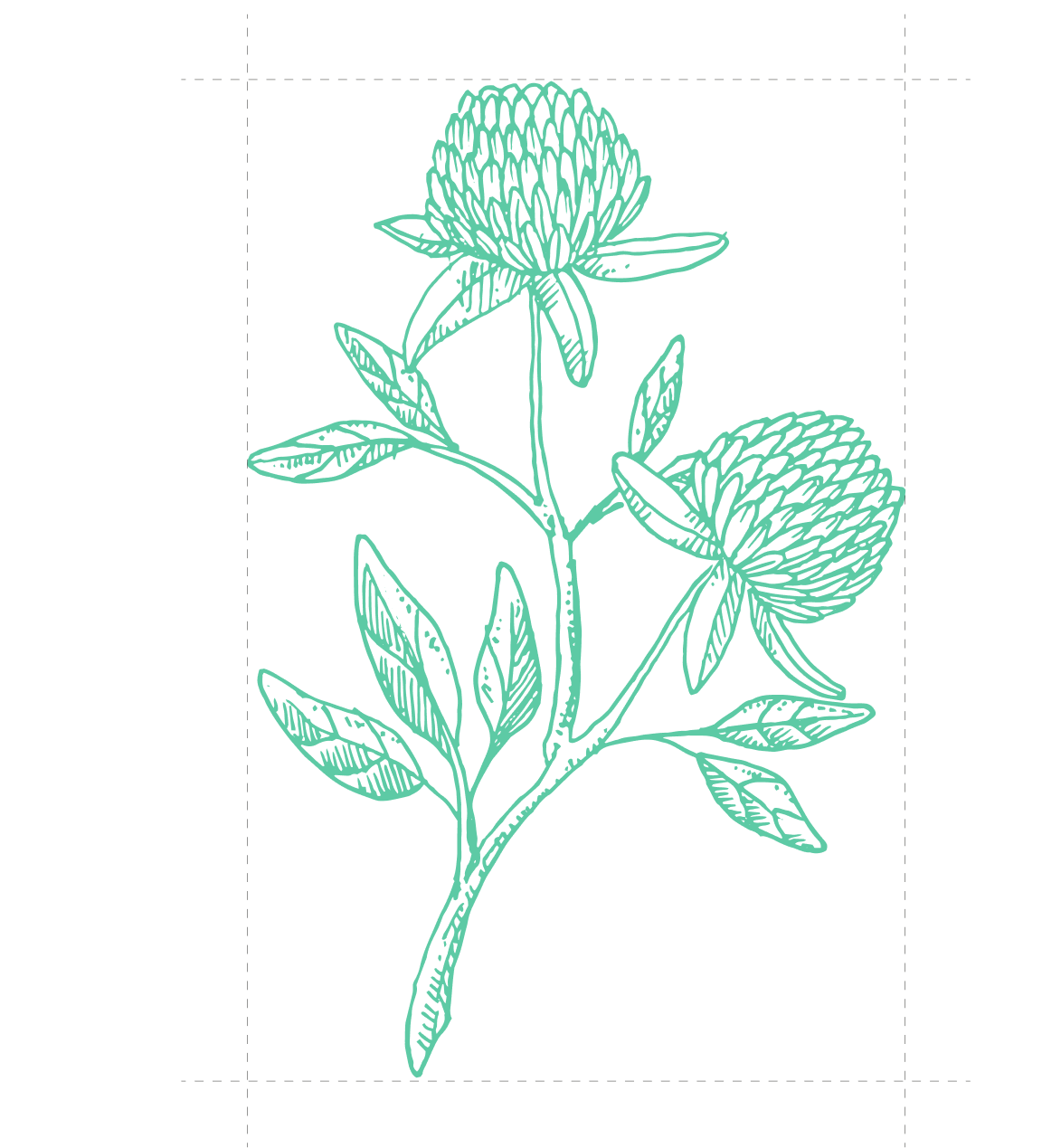 Illustration of a flowering plant representing growth and health.
